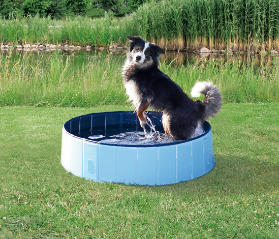 Svalkande pool för hund – S