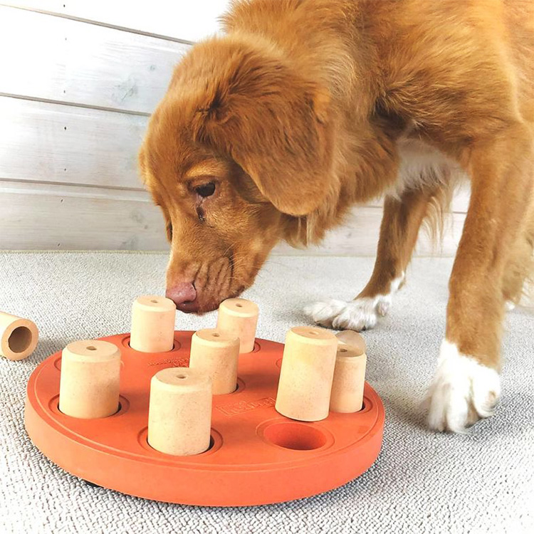 Aktivitetsspel för hunden, Nivå 3: Dog Worker