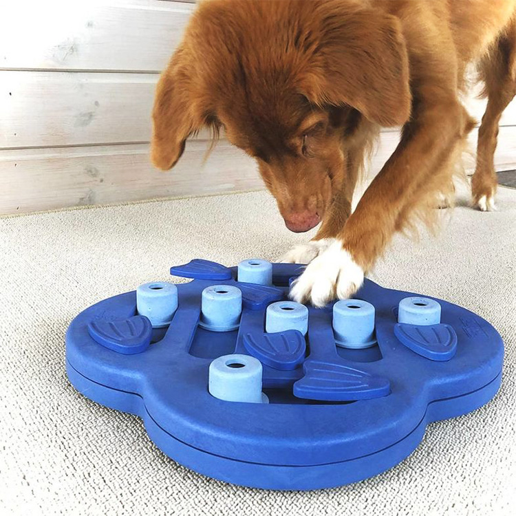 Aktivitetsspel för hunden, Nivå 3: Dog Worker