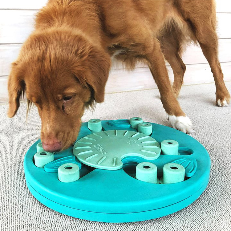 Aktivitetsspel för hunden, Nivå 3: Dog Worker