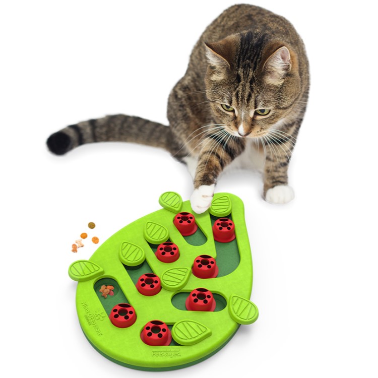 Aktivitetsleksak till katten, Röd