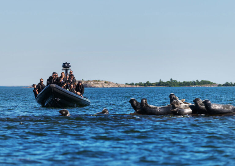 Presentkort – RIB-safari för två