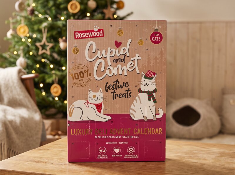 Cupid & Comet Luxury Kattkalender